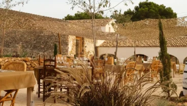 Una experiencia gastronómica entre viñedos históricos