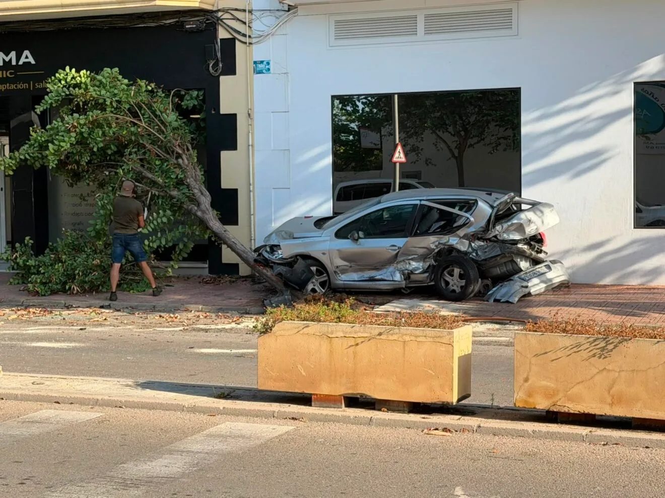 Accidente Avenida Trenc d'Alba: coche siniestrado y árbol caído