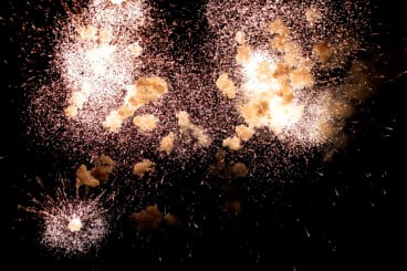 Acto de presentación de las fiestas de Loreto Xàbia 2026 (100)