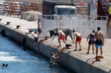 Ambiente en la primera sesión de Bous a la Mar 2026 y el baret (11)