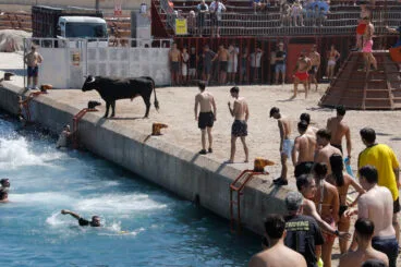 Ambiente en la primera sesión de Bous a la Mar 2026 y el baret (15)