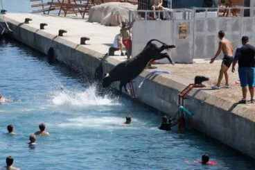 Ambiente en la primera sesión de Bous a la Mar 2026 y el baret (18)