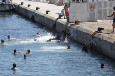Ambiente en la primera sesión de Bous a la Mar 2026 y el baret (19)