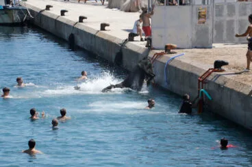 Ambiente en la primera sesión de Bous a la Mar 2026 y el baret (19)