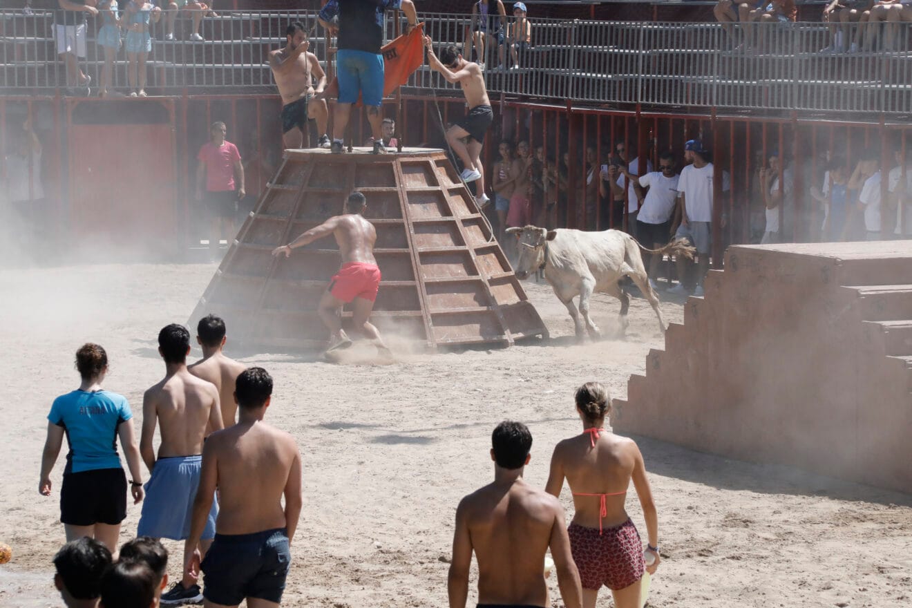 Sfeer tijdens de eerste sessie van Bous a la Mar 2026 en de baret (23)