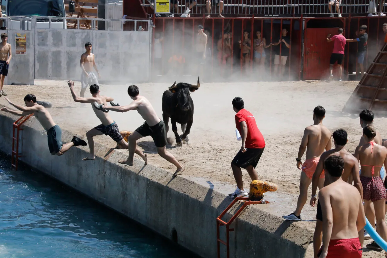 Bous a la mar Xàbia 2026