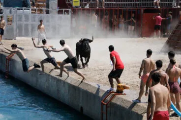 Bous a la mar Xàbia 2026