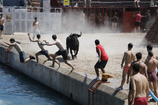 Imagen: Bous a la mar Xàbia 2026