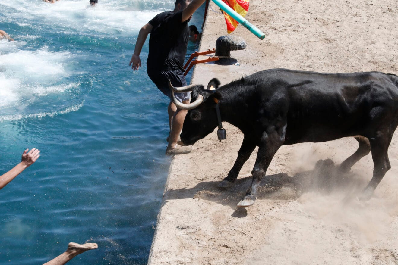 Ambiente en la primera sesión de Bous a la Mar 2026 y el baret (35)