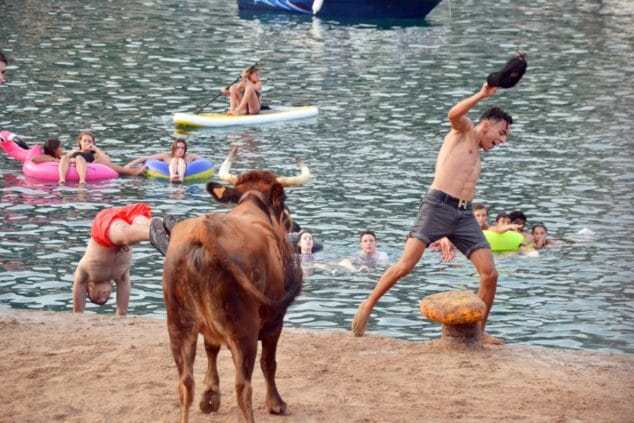imatge: Bous a la Mar | Foto Comissió de Festes Loreto