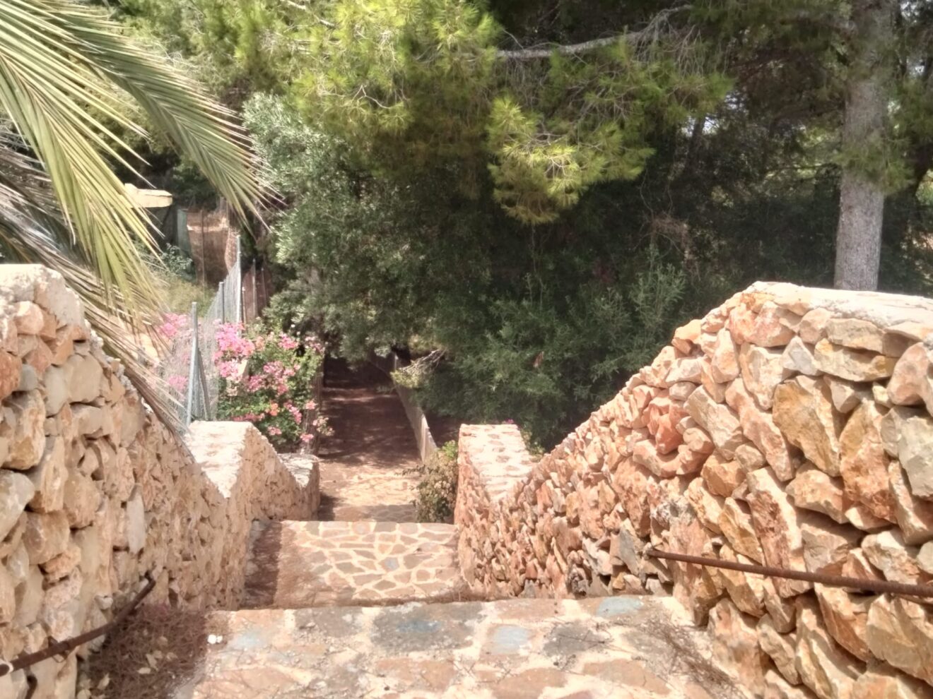 La Senda del Portitxol