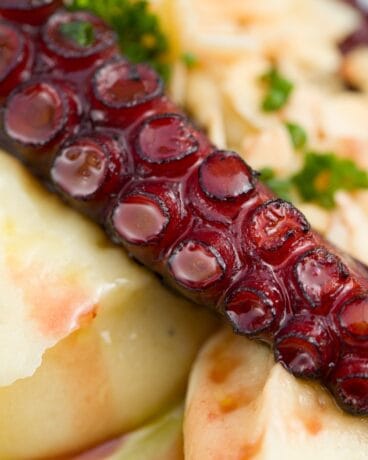 La Terreta, una propuesta que reúne cocina de calidad
