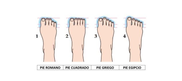 Imagen: Tipos de pie