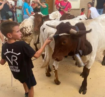 Trashumancia infantil