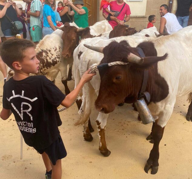 Imagen: Trashumancia infantil