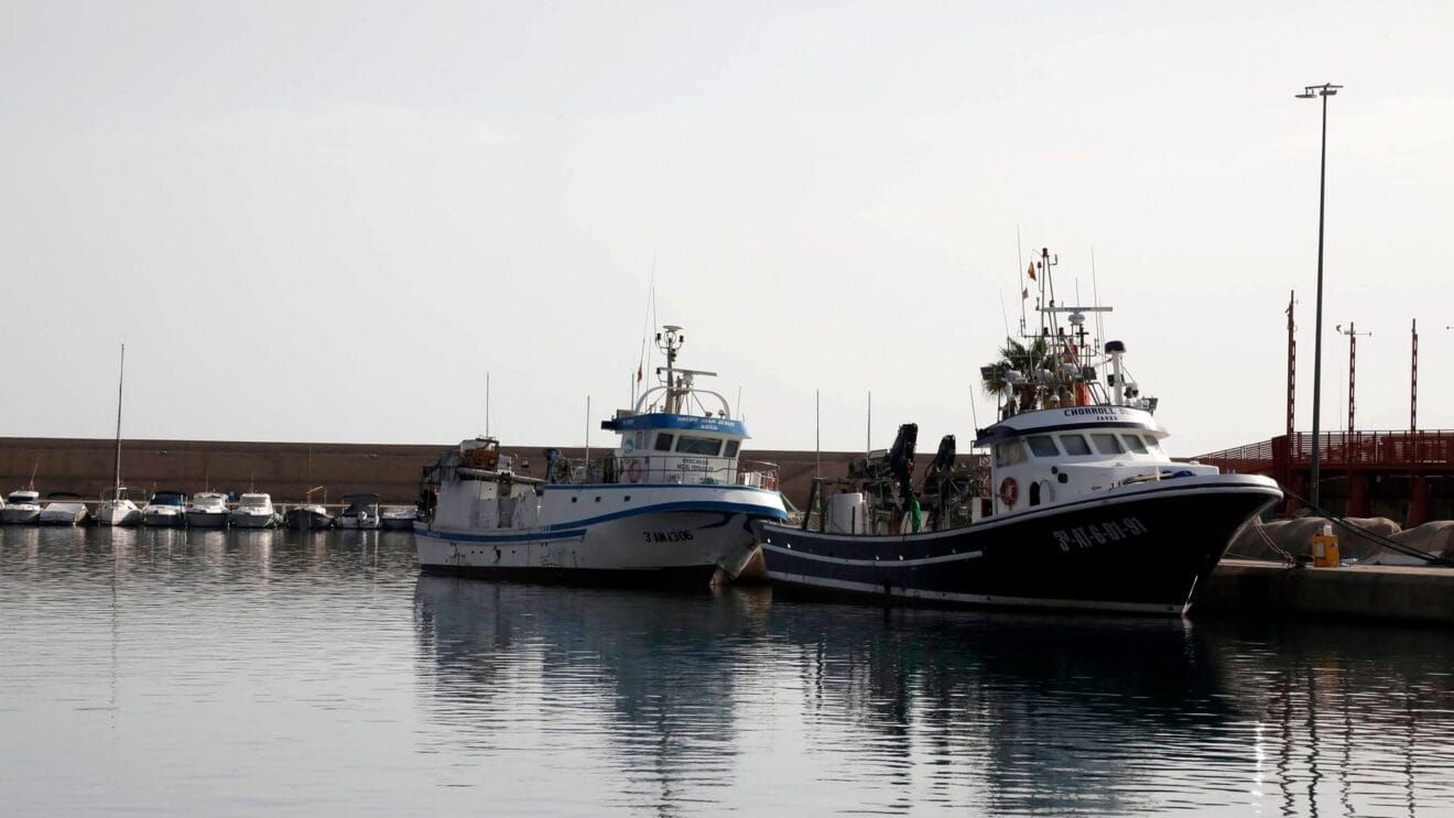 Barcos pesqueros en el puerto de Xàbia