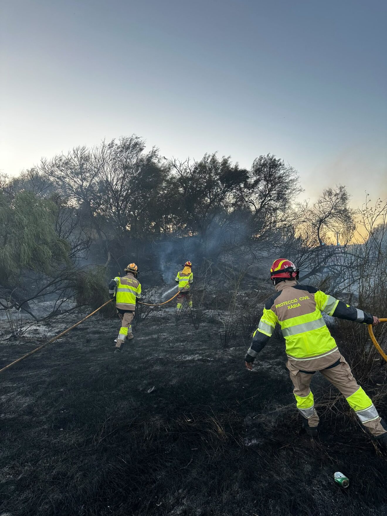 Bomberos realizando las labores de extinción (1)