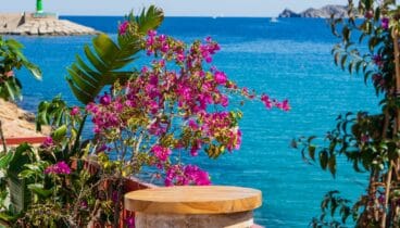 Degusta el Mediterráneo mientras lo admiras