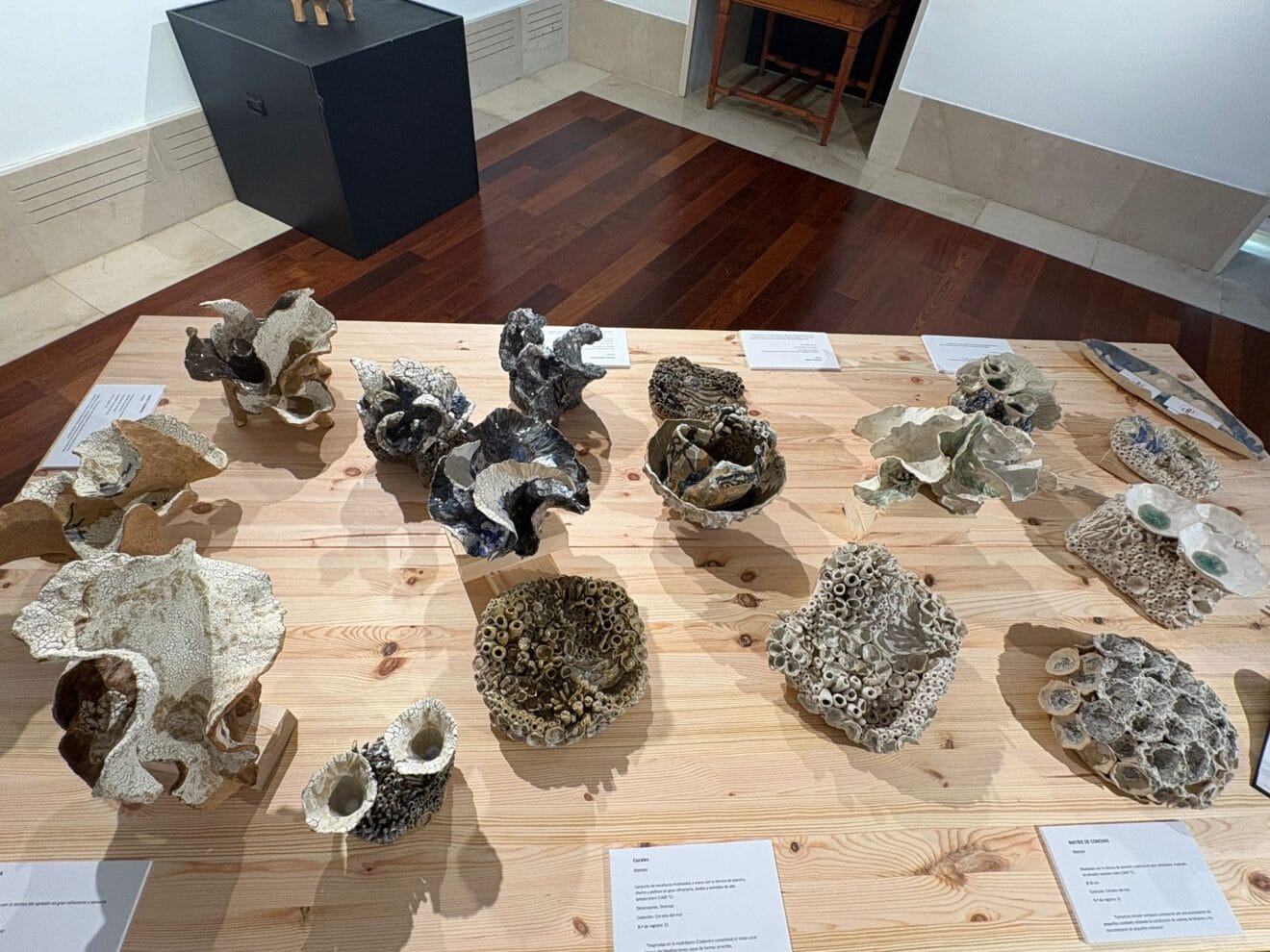 Exposición Estratos del Mar de Pepa Fuster en Xàbia (14)