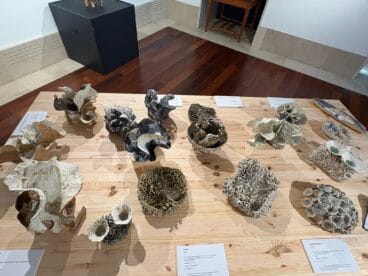 Exposición Estratos del Mar de Pepa Fuster en Xàbia (14)