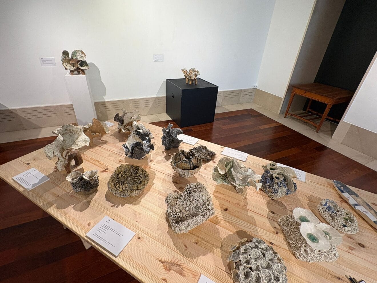Exposición Estratos del Mar de Pepa Fuster en Xàbia (15)