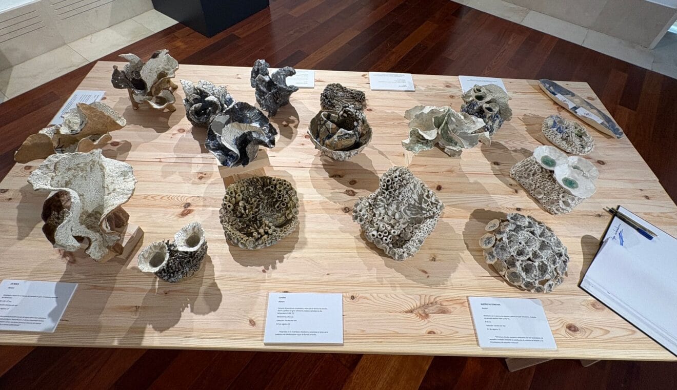 Exposición Estratos del Mar de Pepa Fuster en Xàbia (17)