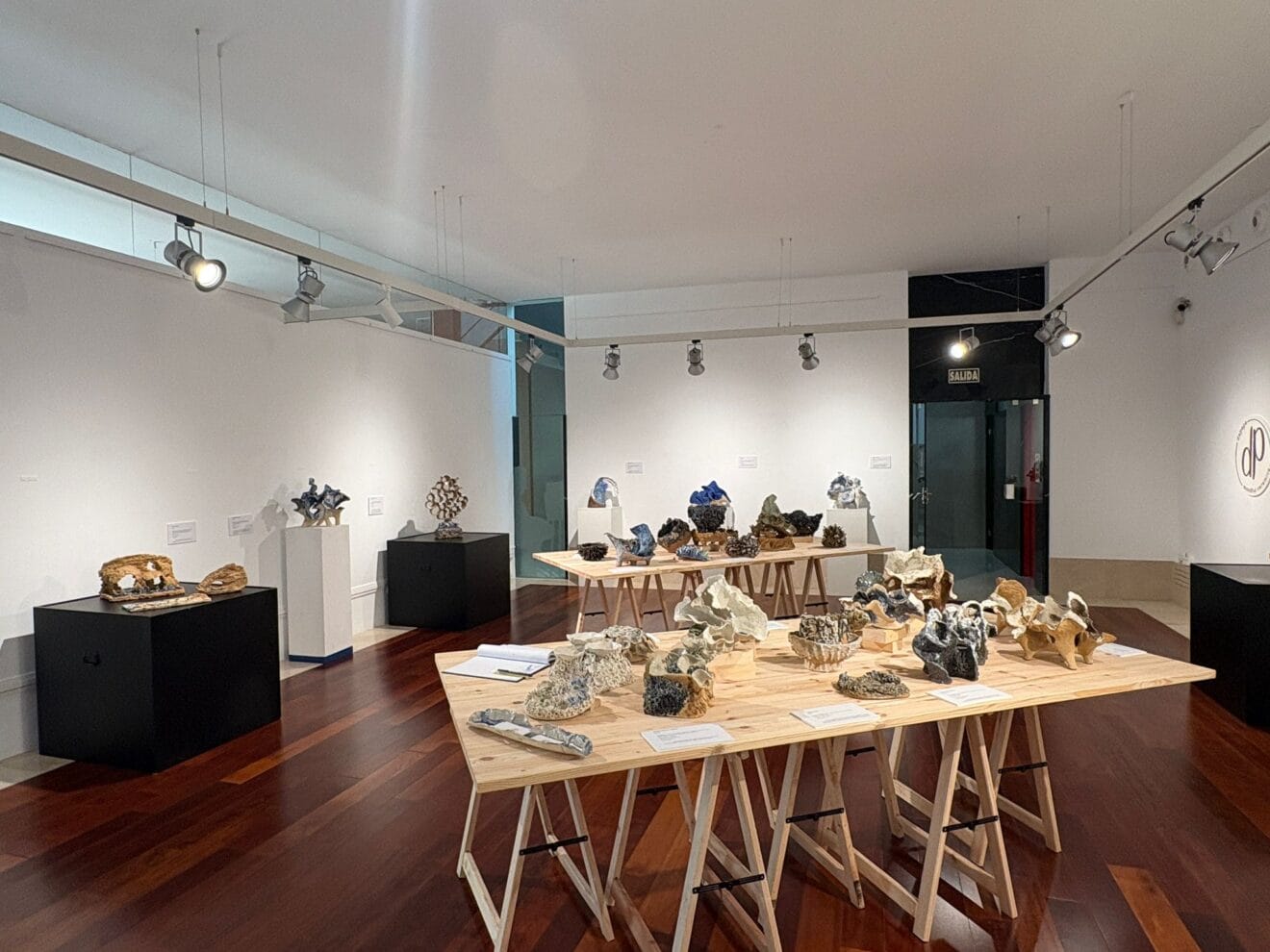 Exposición Estratos del Mar de Pepa Fuster en Xàbia (2)