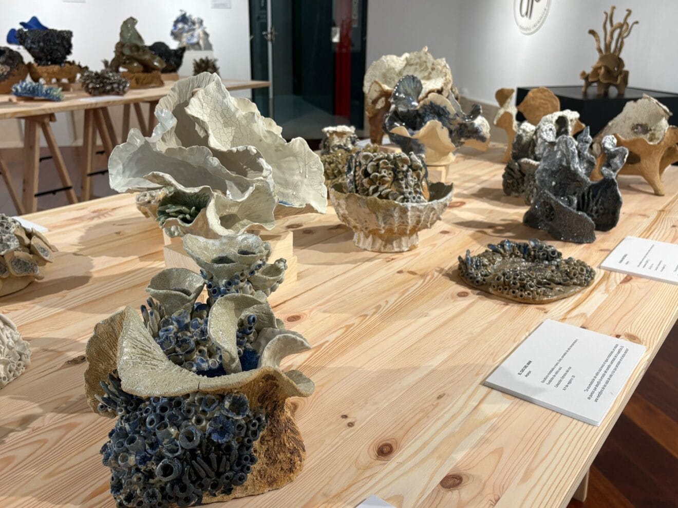 Piezas de la exposición Estratos del Mar de Pepa Fuster en Xàbia