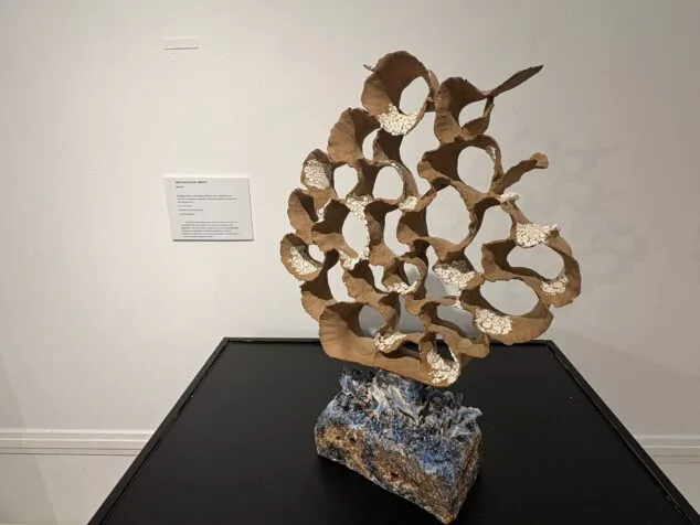 Imagen: Pieza de arrecife en la exposición Estratos del Mar de Pepa Fuster en Xàbia