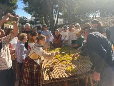 Reparto de la uva escaldada en el cañizo para el secado al sol