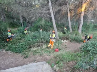 Limpieza en una parcela forestal