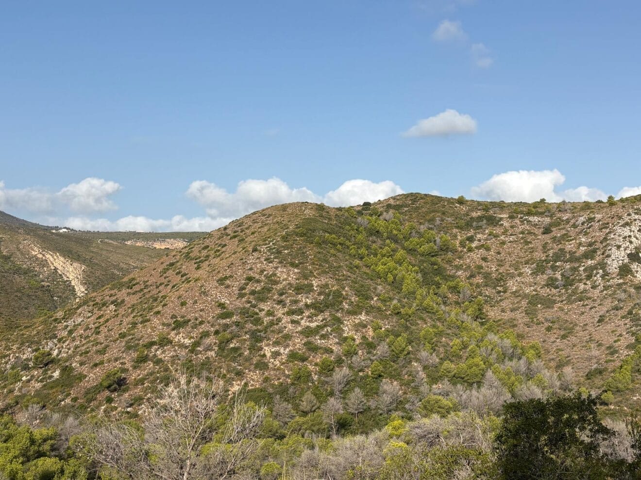 Parque Forestal de la Granadella el 3 de septiembre de 2026