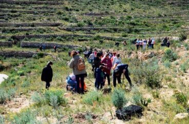 Primeras actuaciones de reforestación en la Granadella. Año 2018