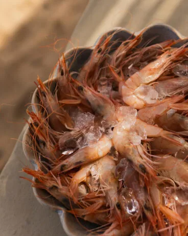Producto del mar