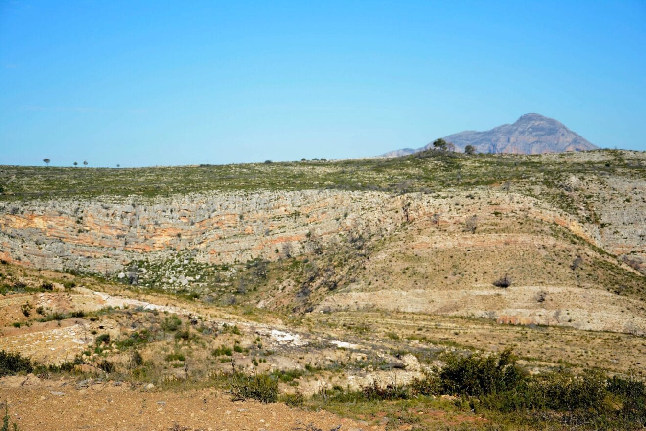 Reforestación de la Granadella en 2018