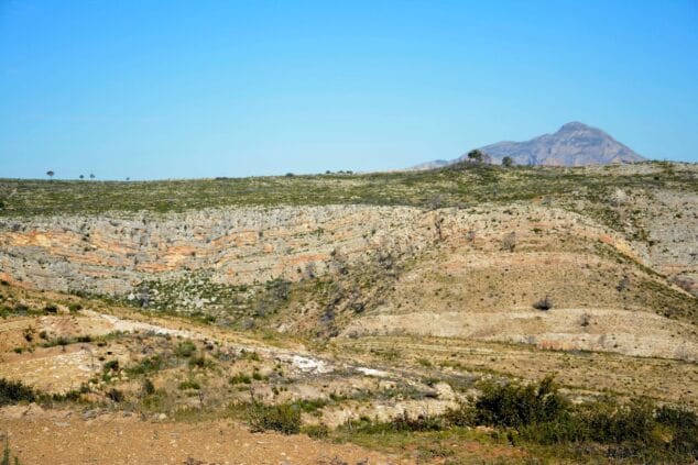 Imagen: Reforestación de la Granadella en 2018