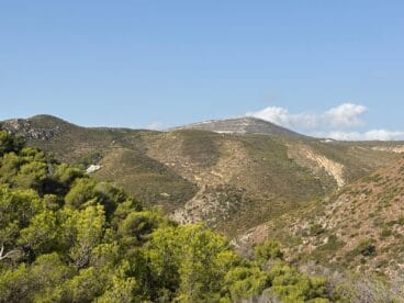 Reforestación del Parque Forestal de la Granadella en 2026