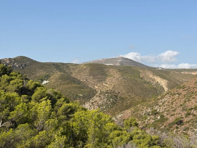 Imagen: Reforestación del Parque Forestal de la Granadella en 2026