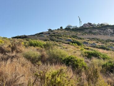 Regenación del Parque Forestal de la Granadella en 2026 (5)