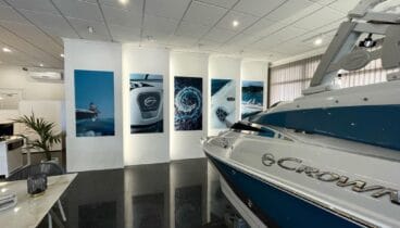 Vinilos y murales
