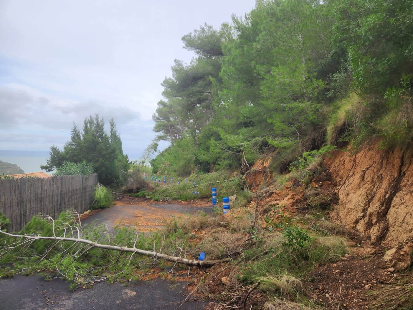 Caída de pinos en zona forestal de Xàbia | Foto Protecció Civil Xàbia