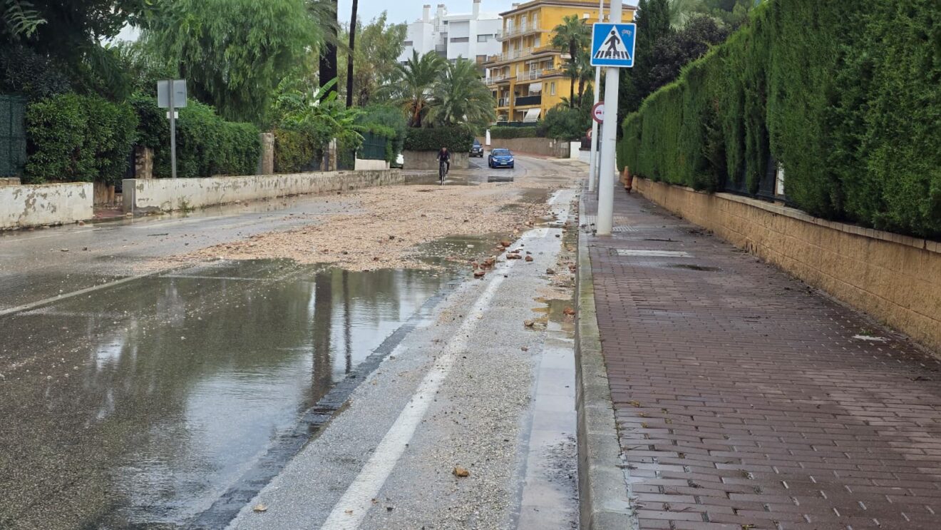 Estado de un vial en la zona de Cala Blanca
