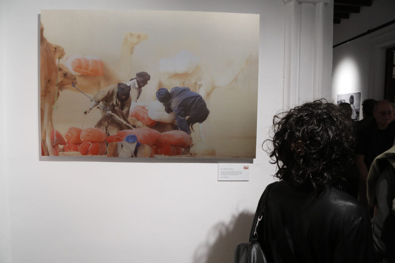 Inauguración del Festival Ojos Rojos 2026 (1)