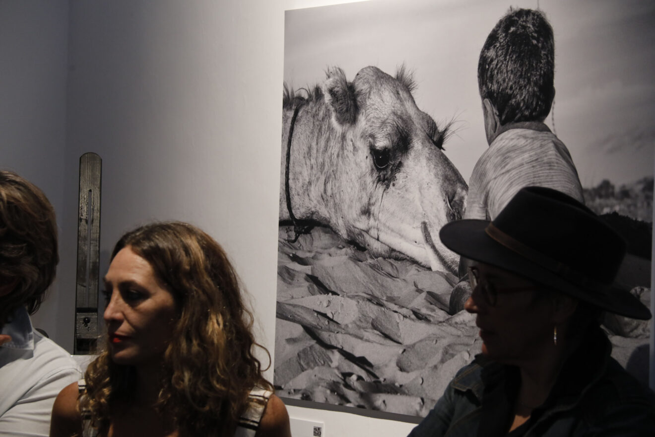 Inauguración del Festival Ojos Rojos 2026 (14)