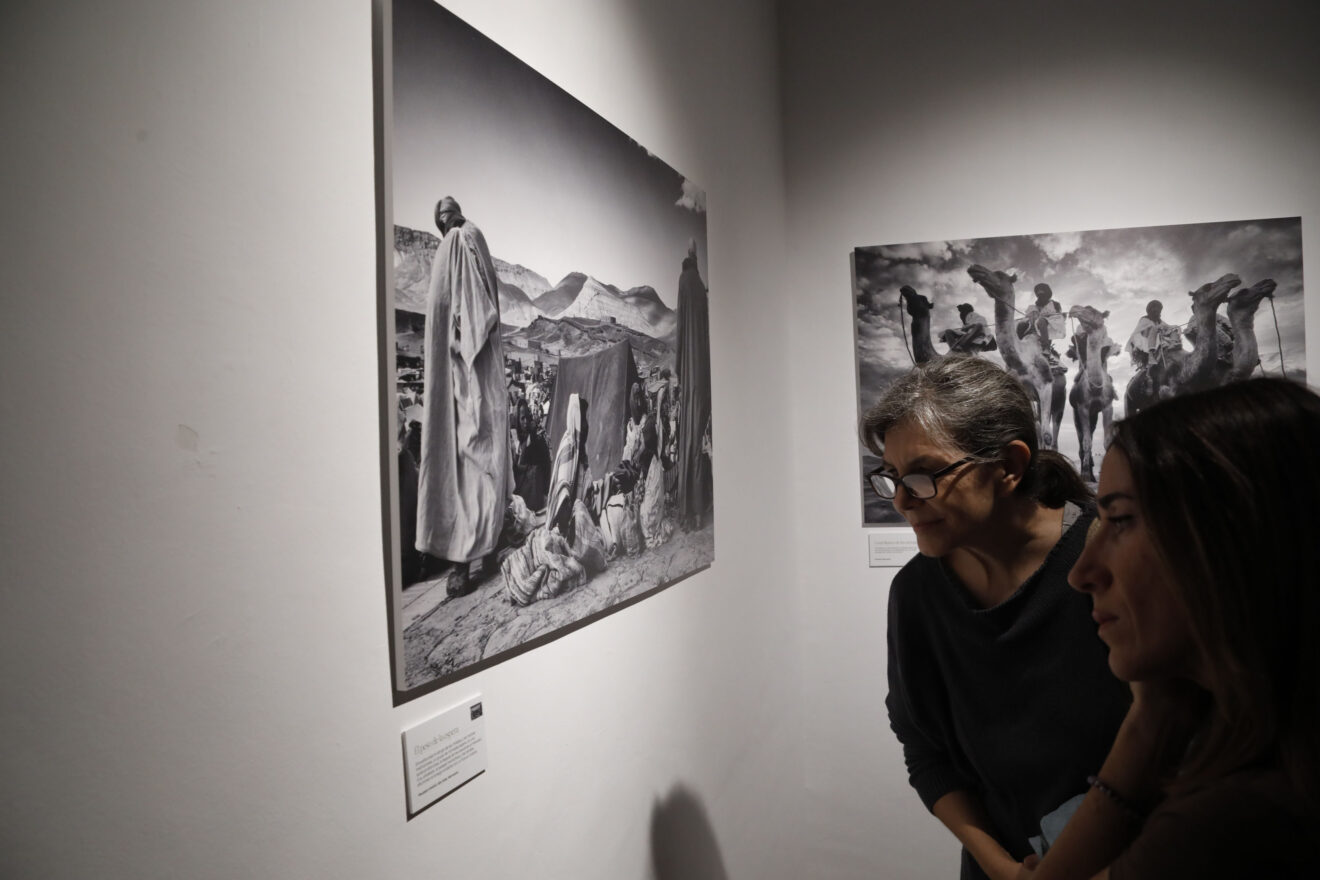 Inauguración del Festival Ojos Rojos 2026 (22)