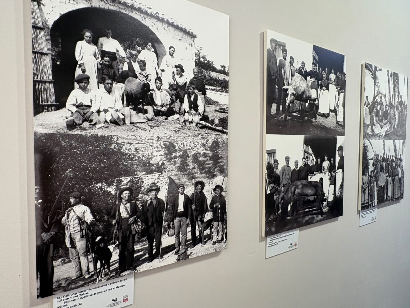 Presentación de la exposición de la familia Guardiola en Fundación Cirne Xàbia