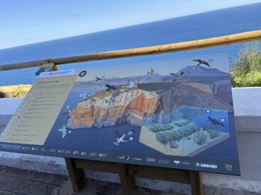 Zona de avistamiento de aves en el Faro del Cabo de San Antonio