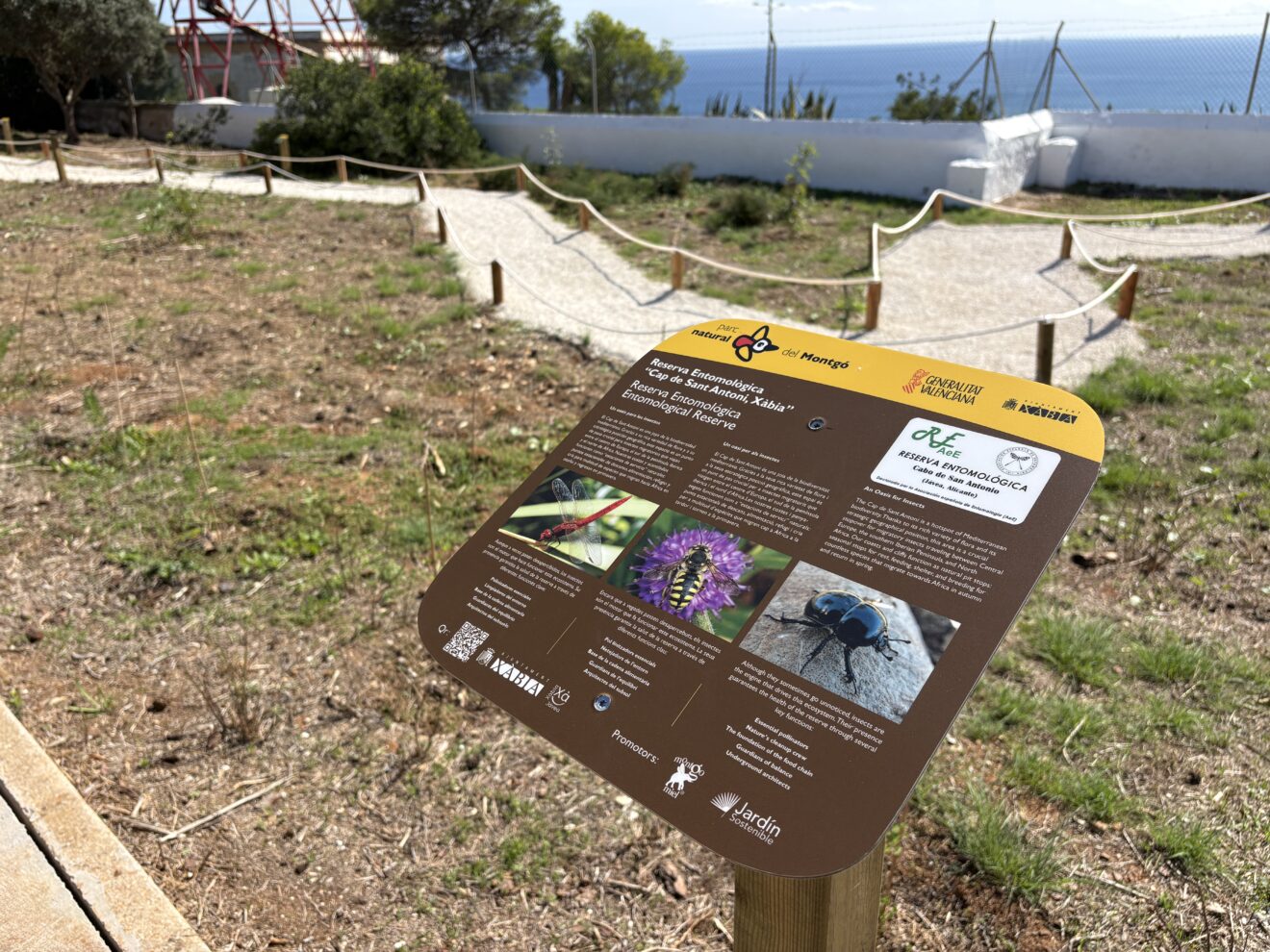 Xàbia abre al público el entorno del Faro del Cabo San Antonio (16)